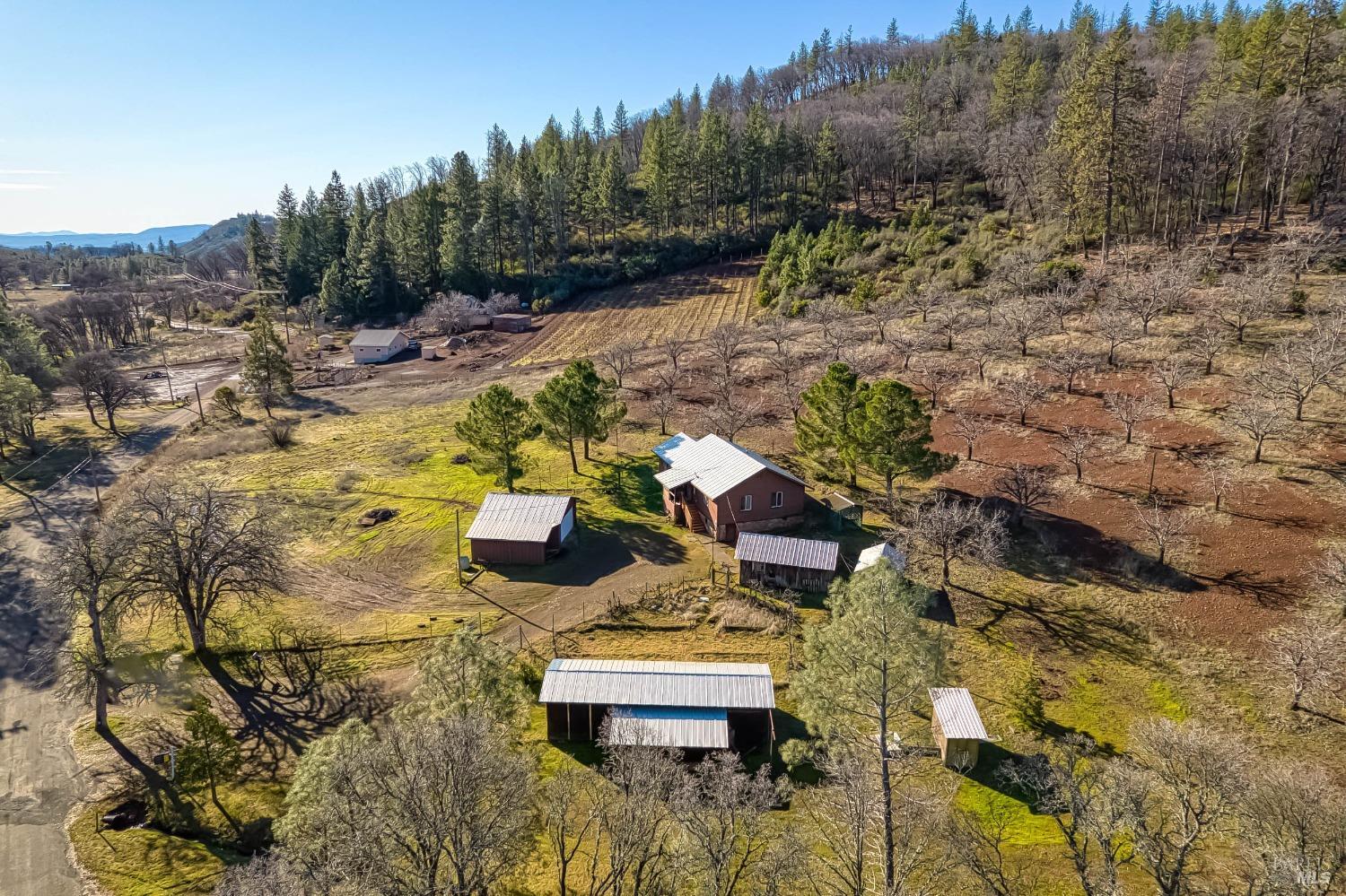 Listing image 6