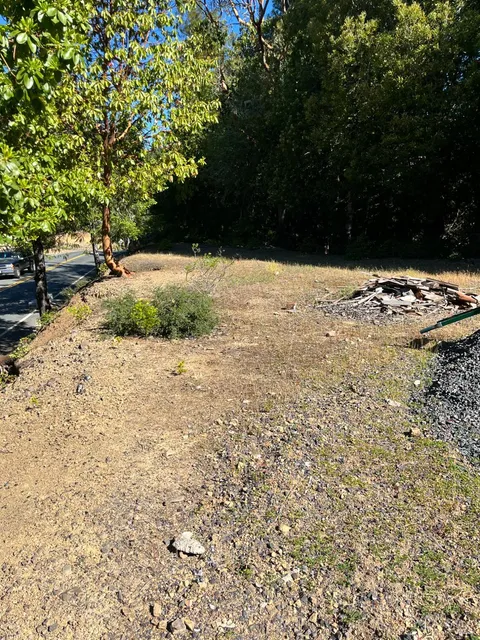 MLS: 325048041