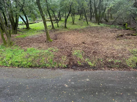 MLS: 325007746