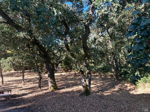Photo of 200 Napa Road, Sonoma, CA 95476 (MLS # 324063855)