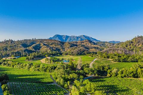 Photo of 8320 Franz Valley Road, Calistoga, CA 94515 (MLS # 325065653)