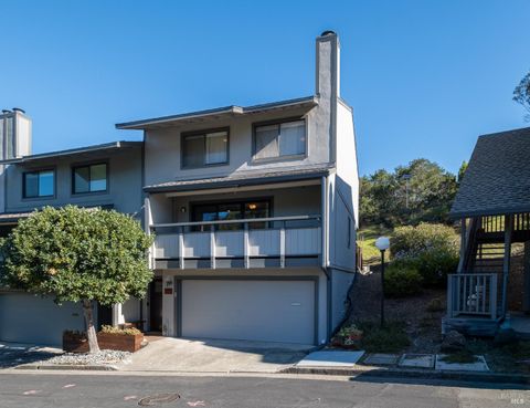 Photo of 119 Arlene Terrace, San Rafael, CA 94903 (MLS # 325086464)