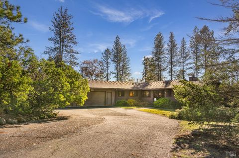 Photo of 1045 Summit Lake Drive, Angwin, CA 94508 (MLS # 325026205)