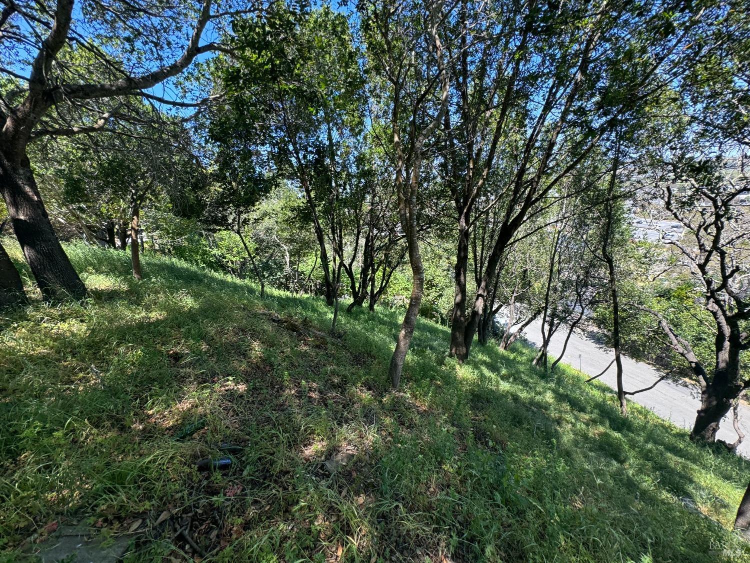 815 Meadowsweet Drive