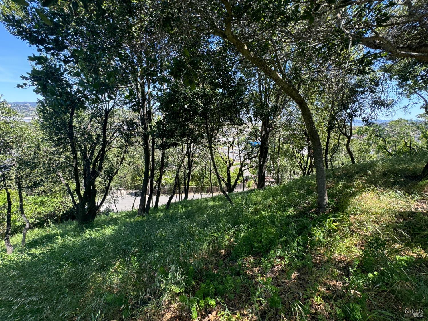 815 Meadowsweet Drive