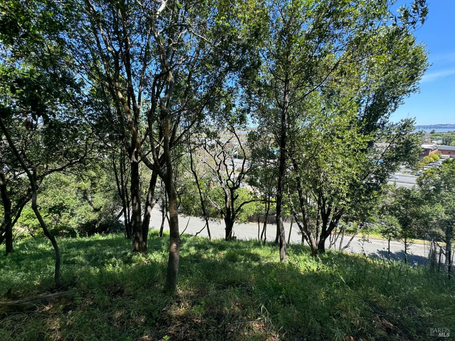 815 Meadowsweet Drive