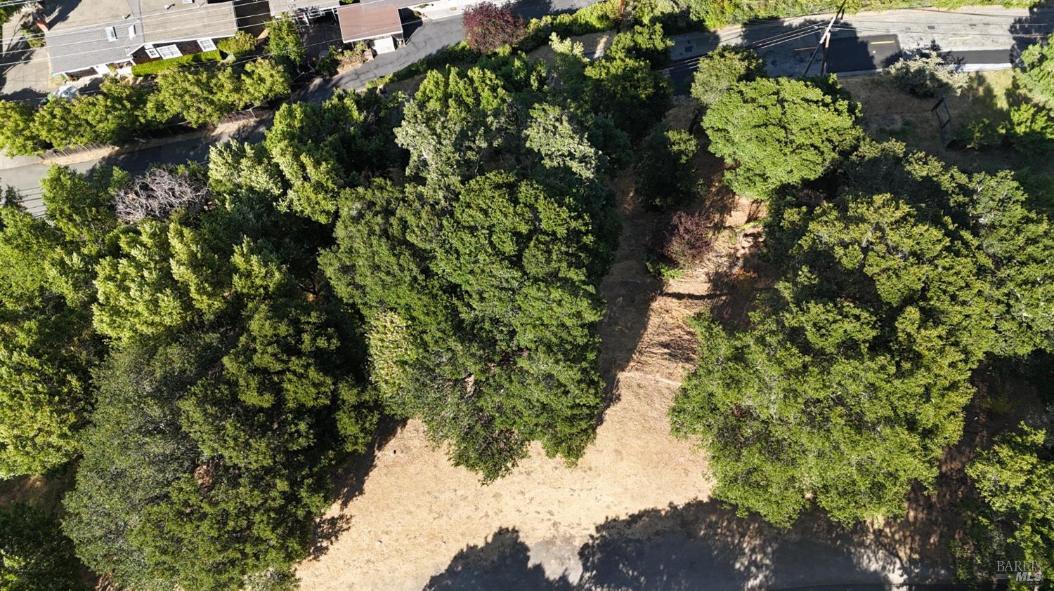 815 Meadowsweet Drive