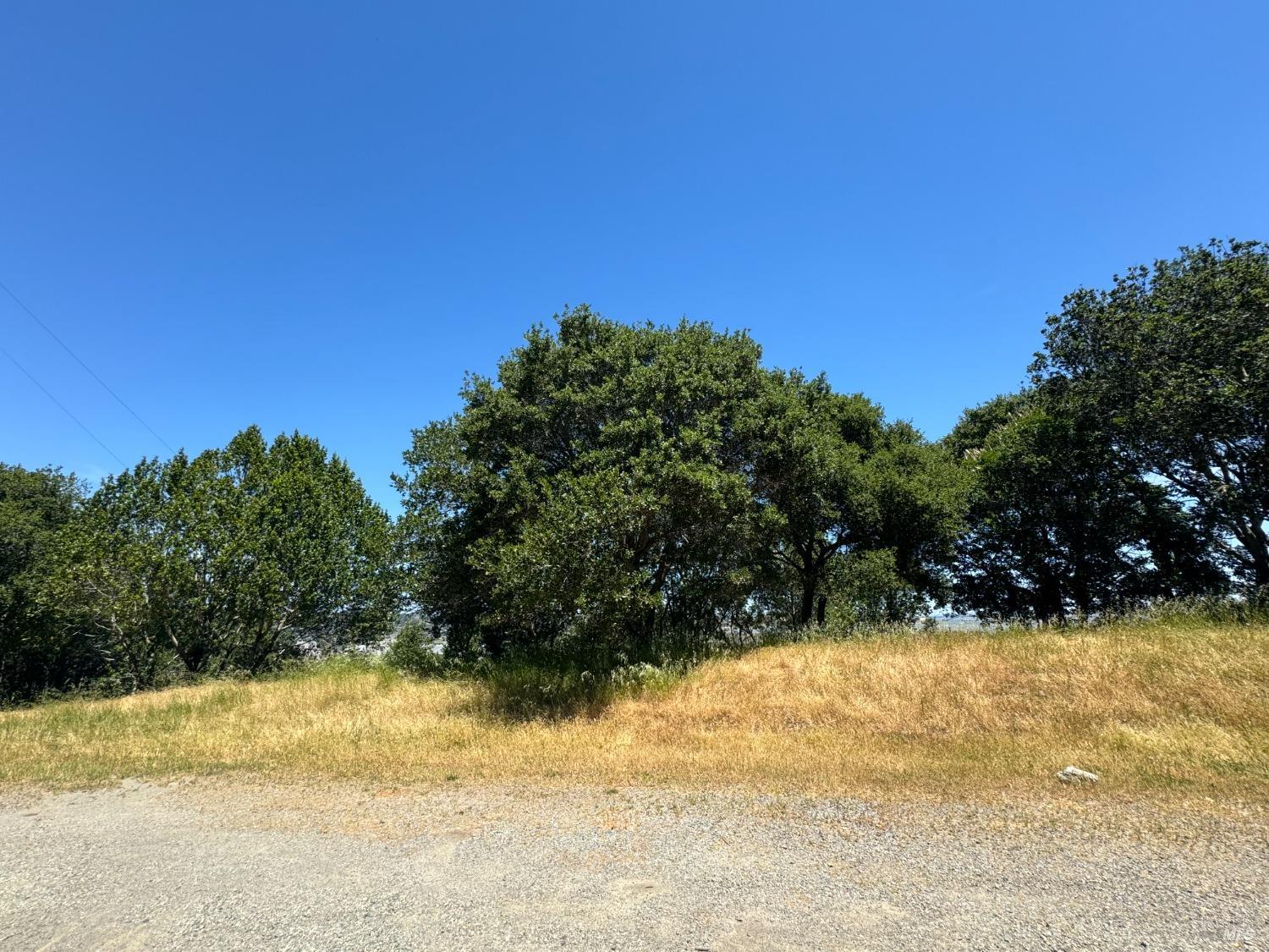 815 Meadowsweet Drive