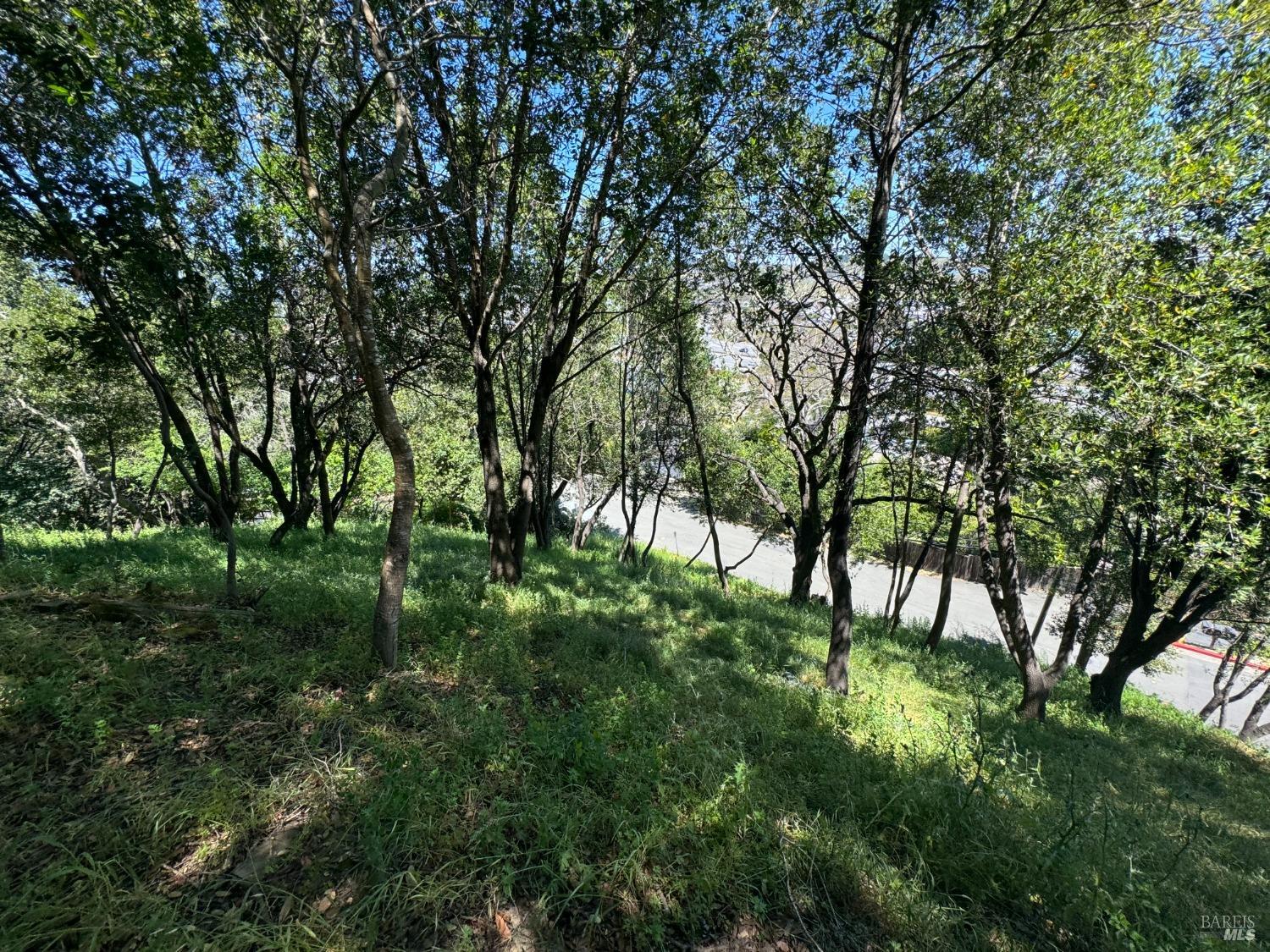 815 Meadowsweet Drive