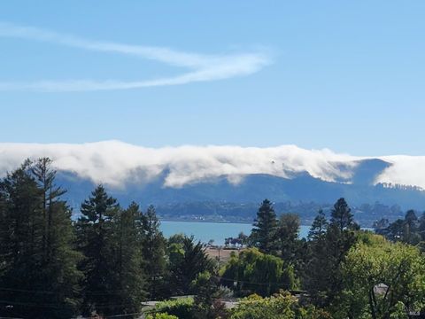 Photo of 53 Mercury Avenue, Tiburon, CA 94920 (MLS # 325092071)