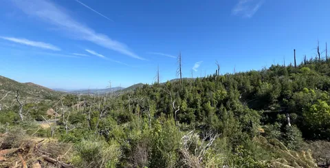 MLS: 325045294