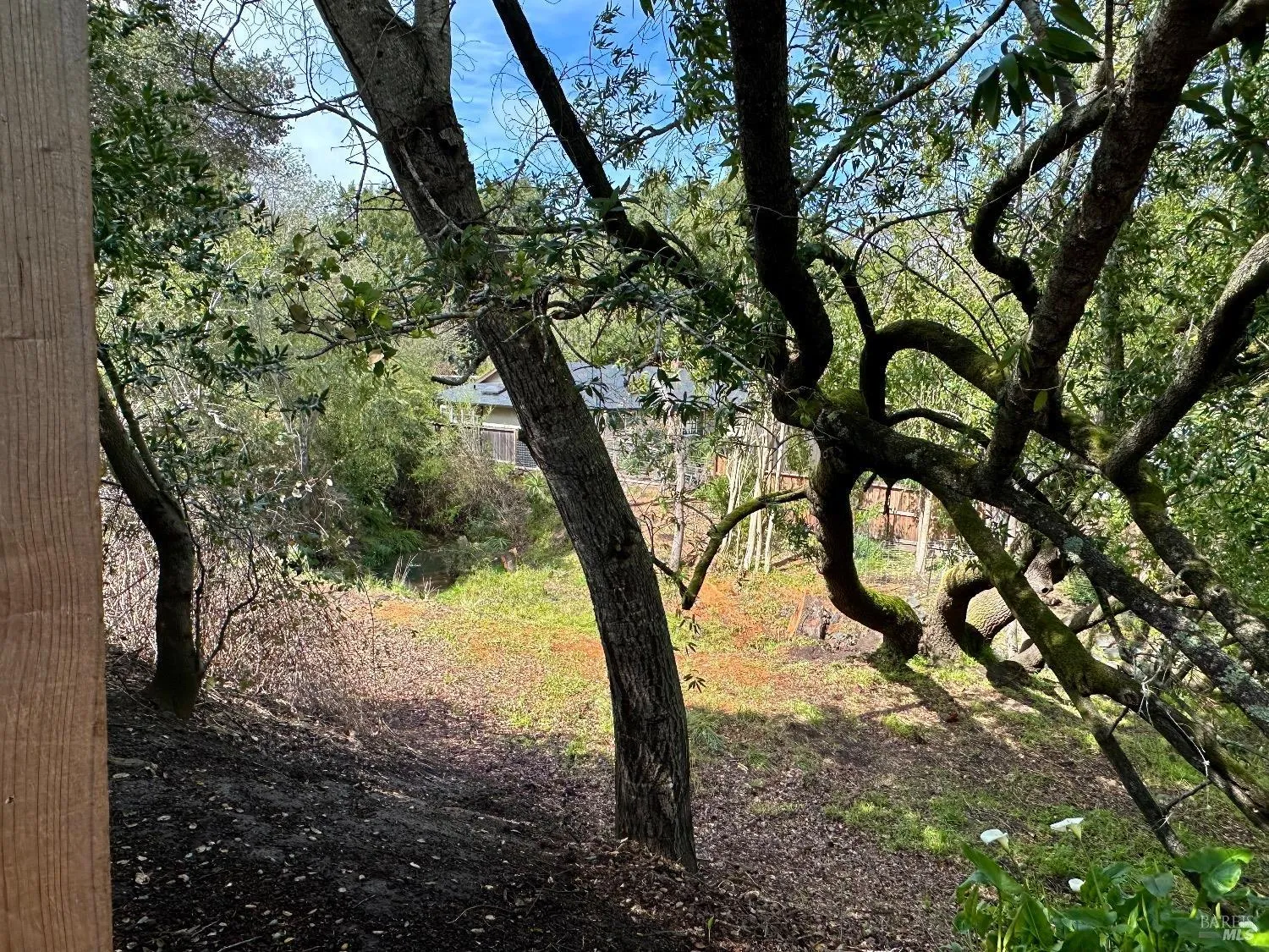 Novato, California 94947, United States, 4 Bedrooms Bedrooms, ,2 BathroomsBathrooms,Residential,Pending,89293