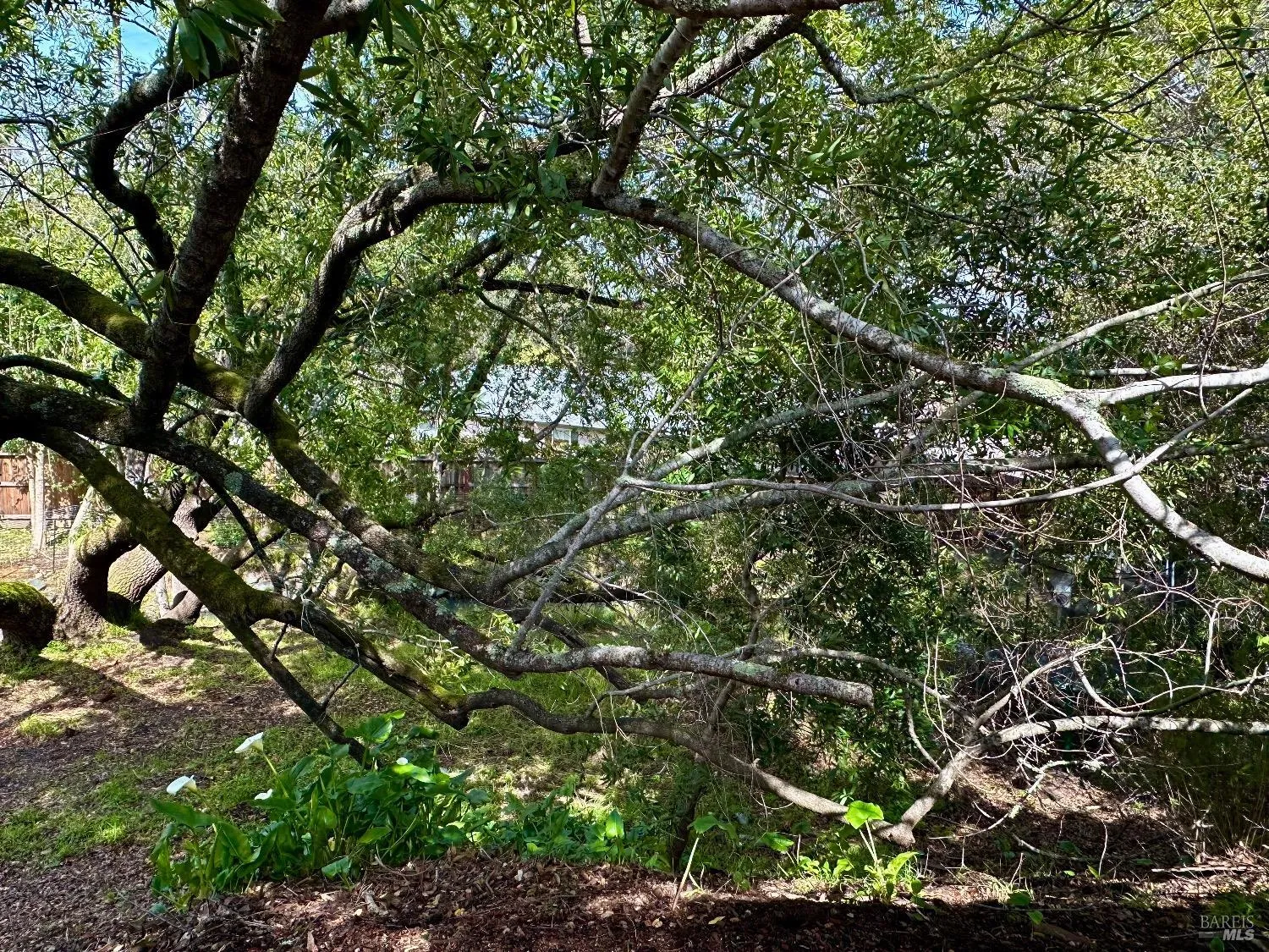 Novato, California 94947, United States, 4 Bedrooms Bedrooms, ,2 BathroomsBathrooms,Residential,Pending,89293