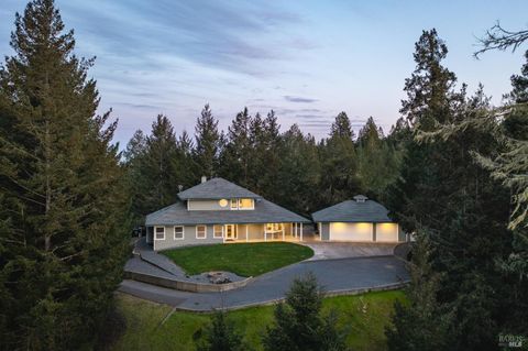 Photo of 8930 Hwy 116, Forestville, CA 95436 (MLS # 326013177)