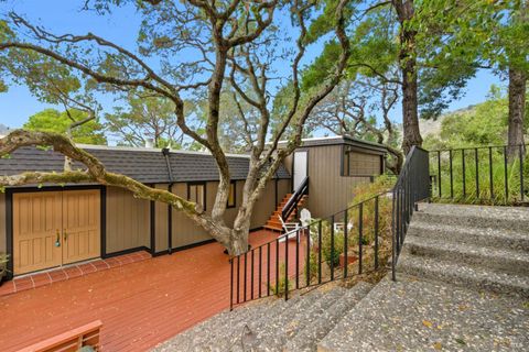 Photo of 171 Dominican Drive, San Rafael, CA 94901 (MLS # 325083441)