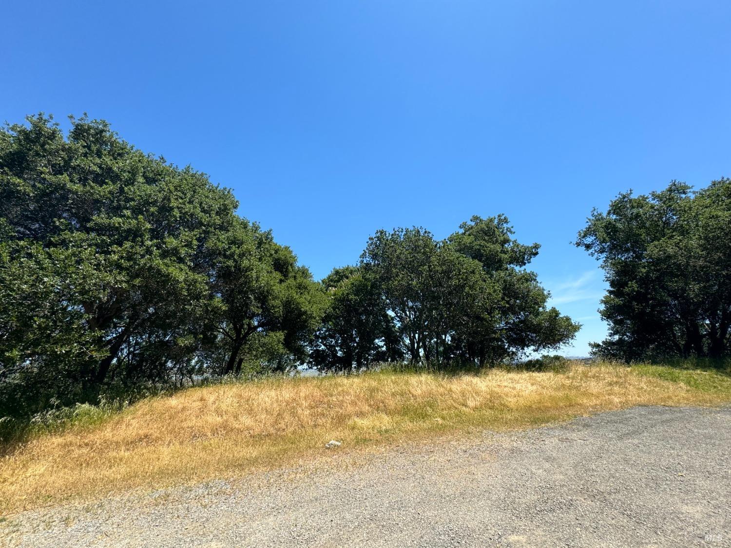 Meadowsweet Drive