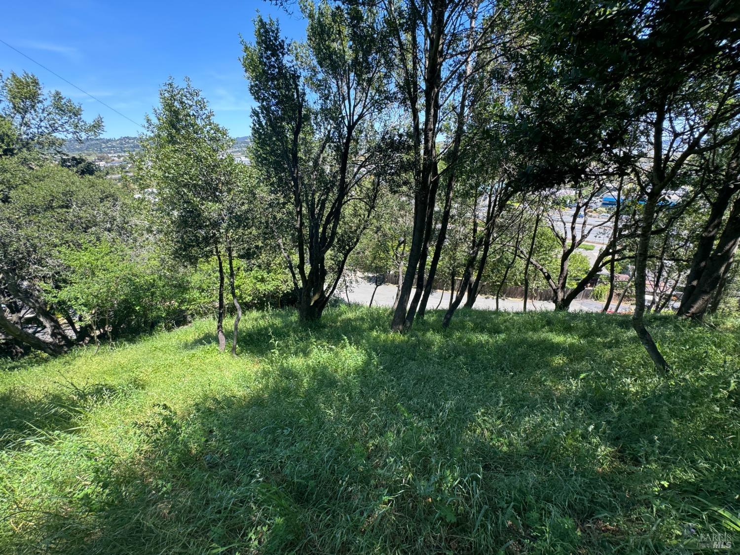 Meadowsweet Drive
