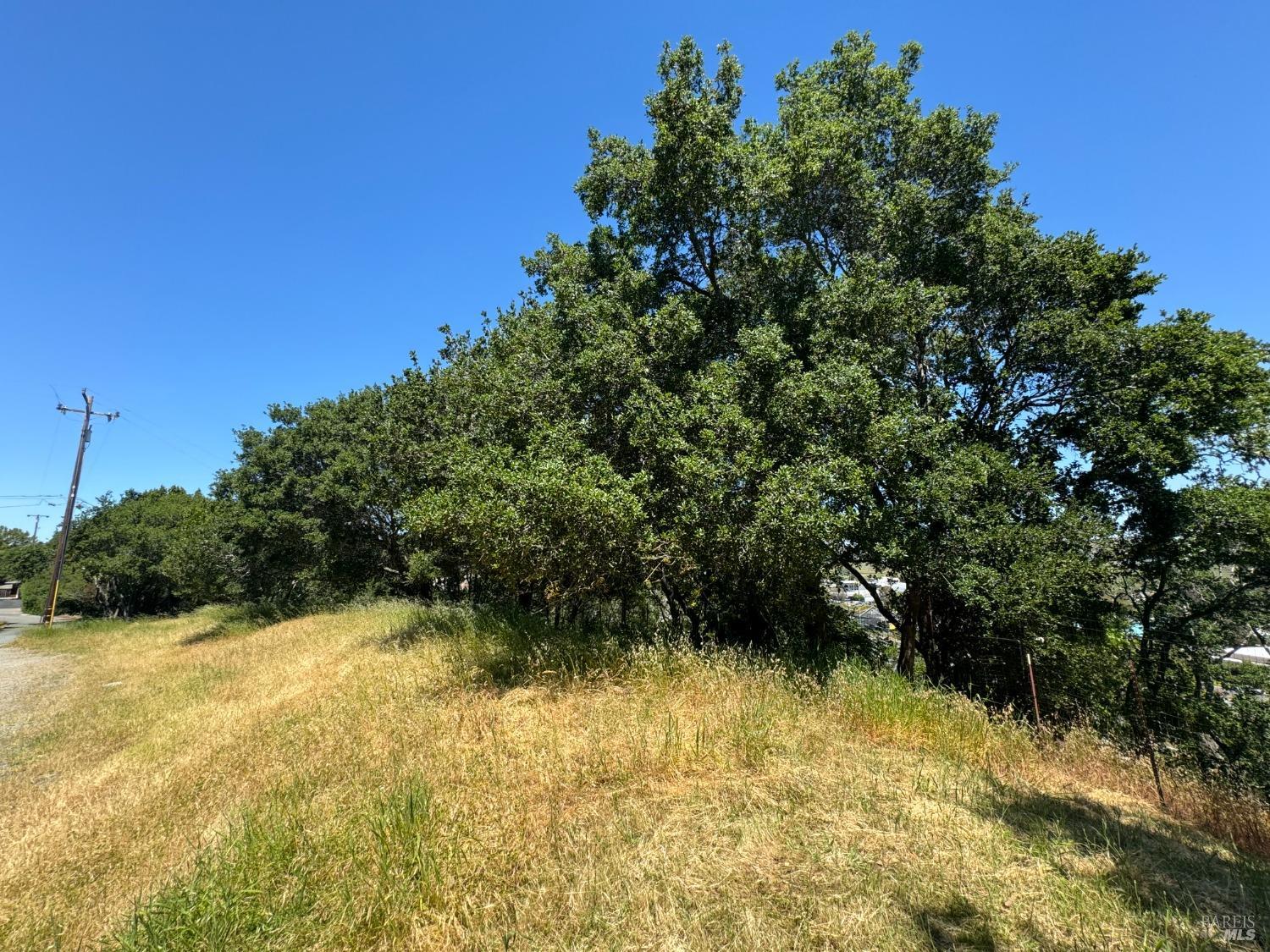 Meadowsweet Drive