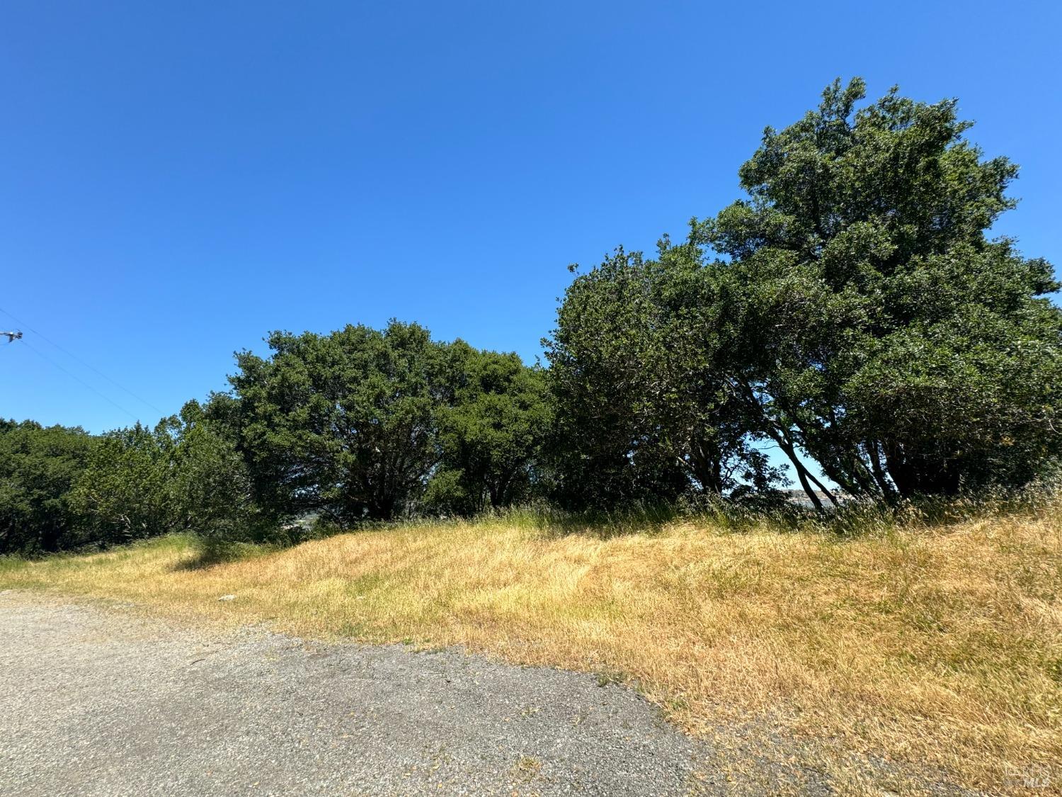 Meadowsweet Drive