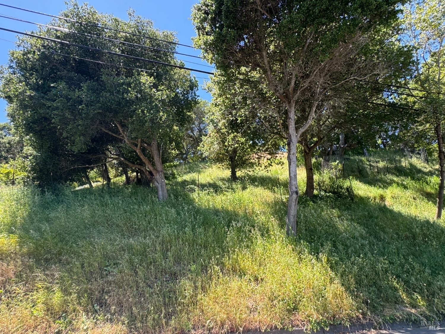 Meadowsweet Drive