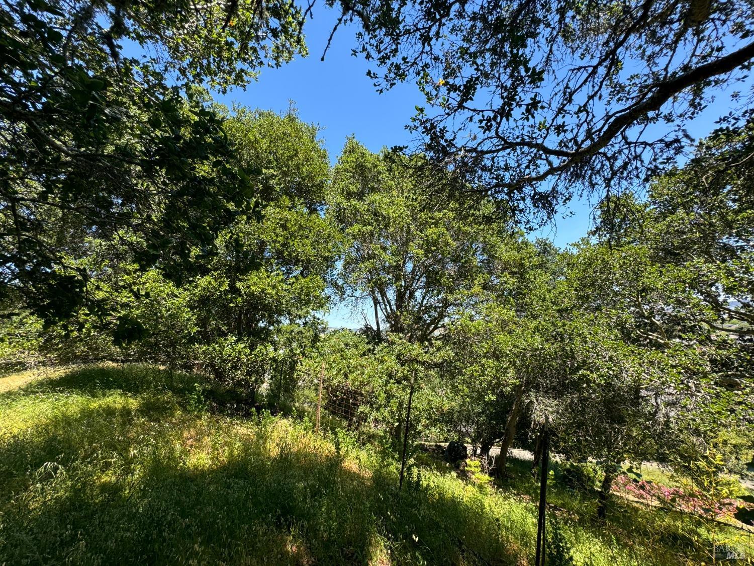 Meadowsweet Drive