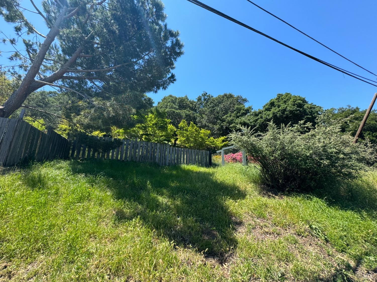 Meadowsweet Drive