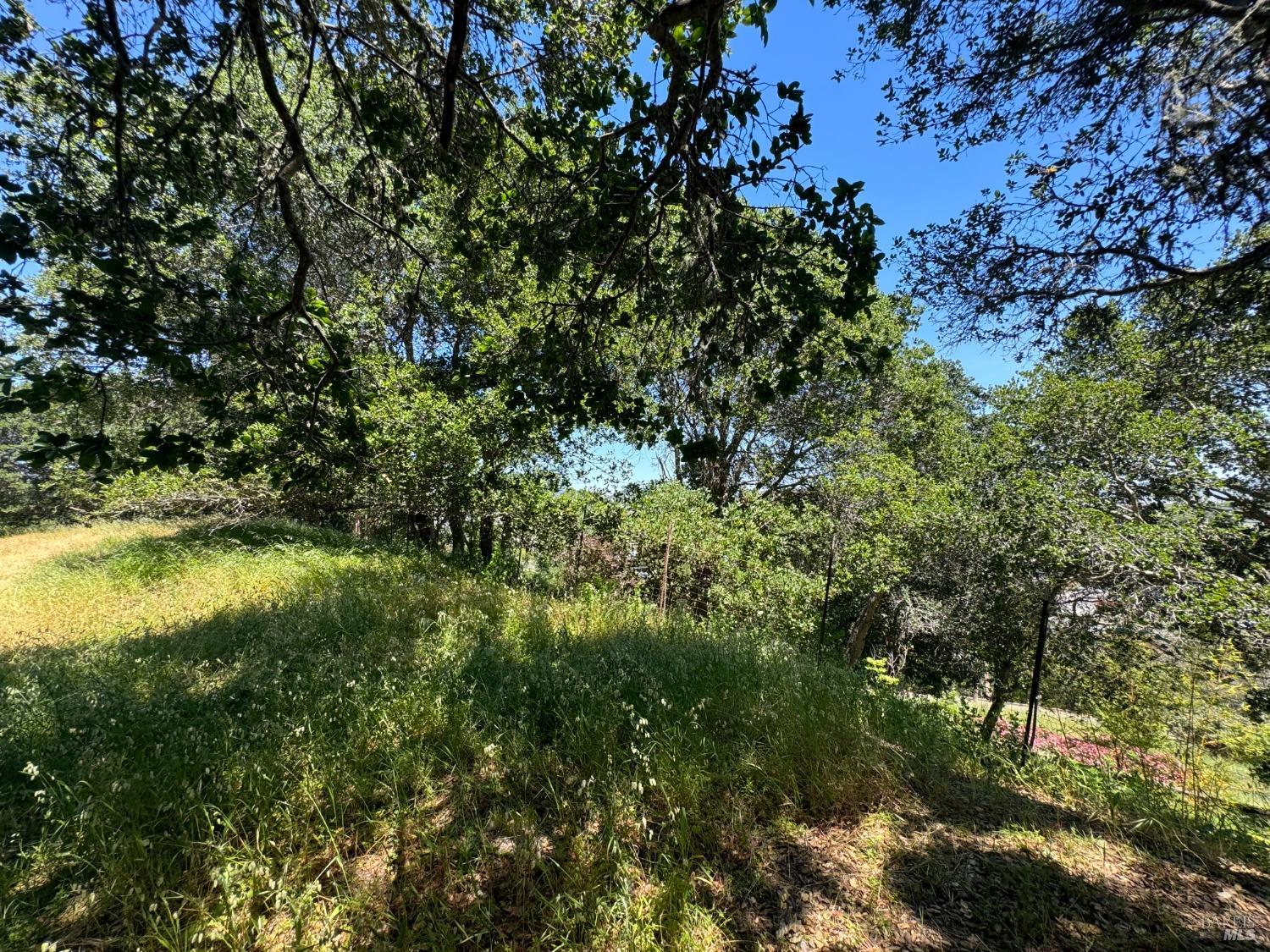 Meadowsweet Drive