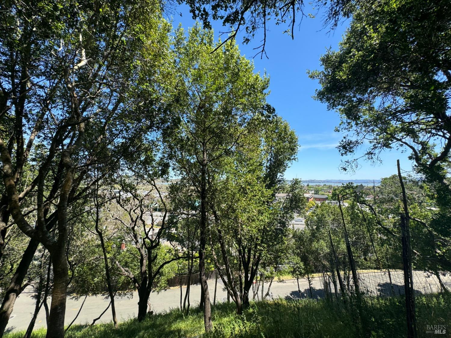 Meadowsweet Drive