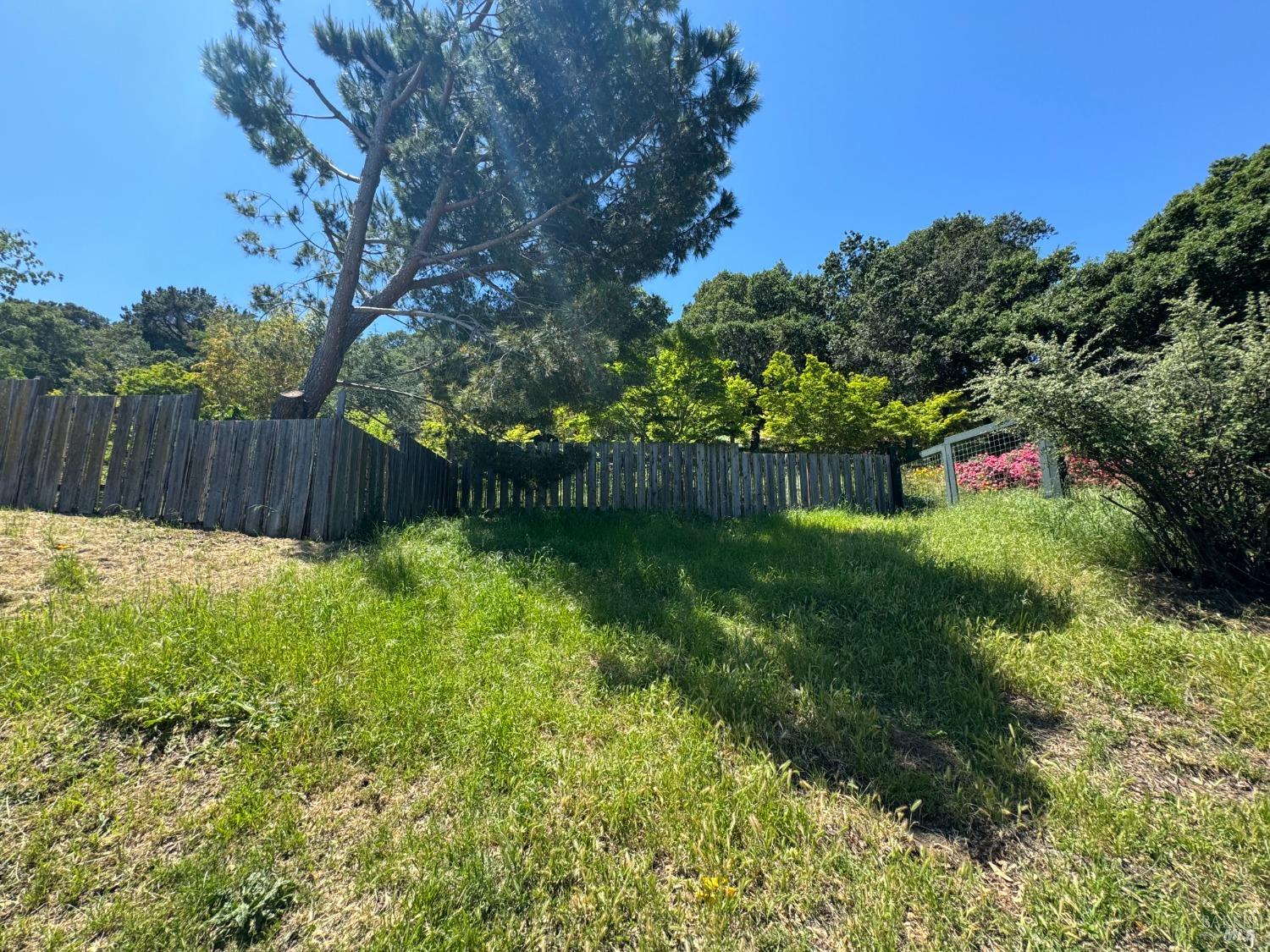 Meadowsweet Drive