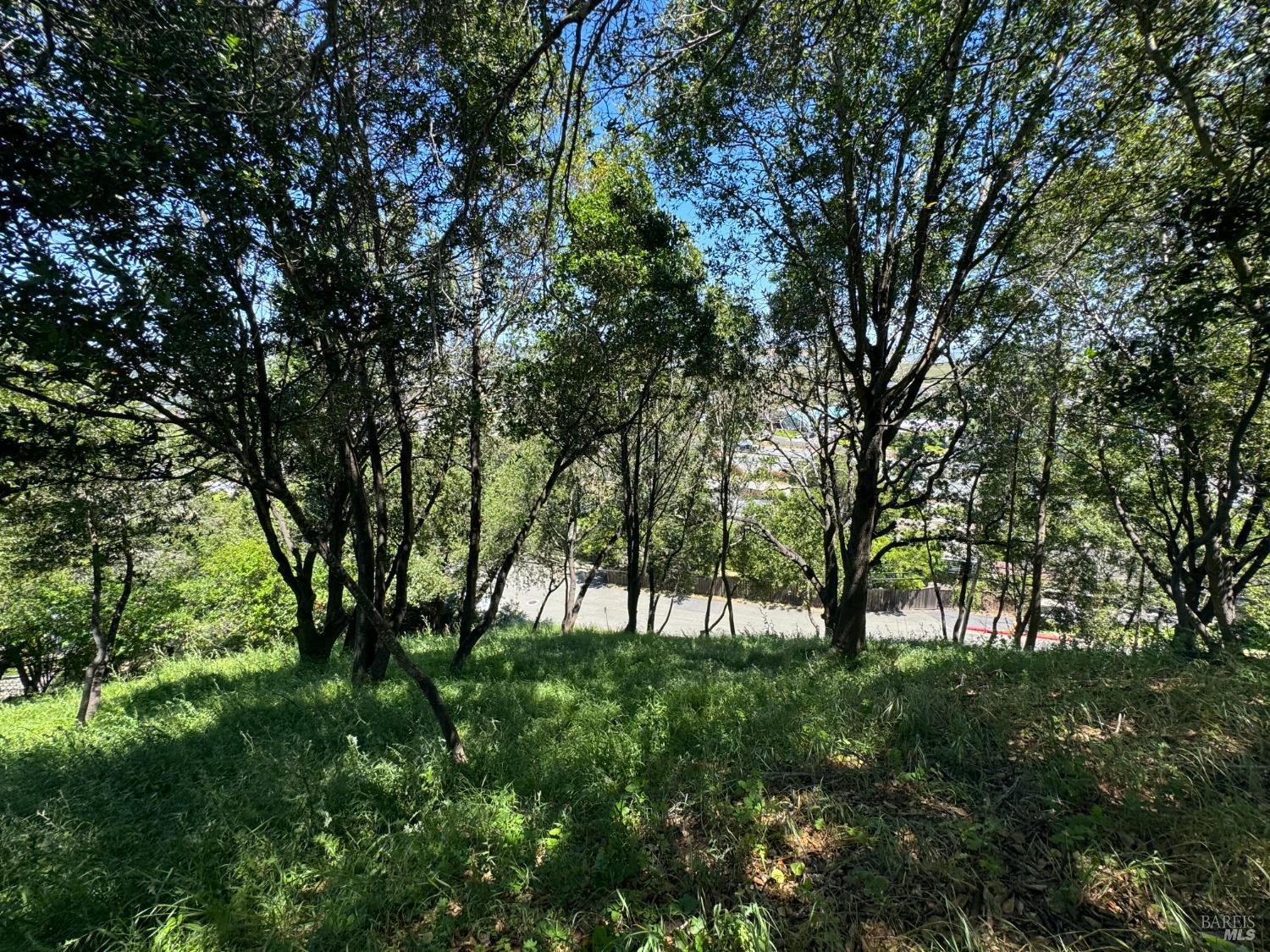 Meadowsweet Drive