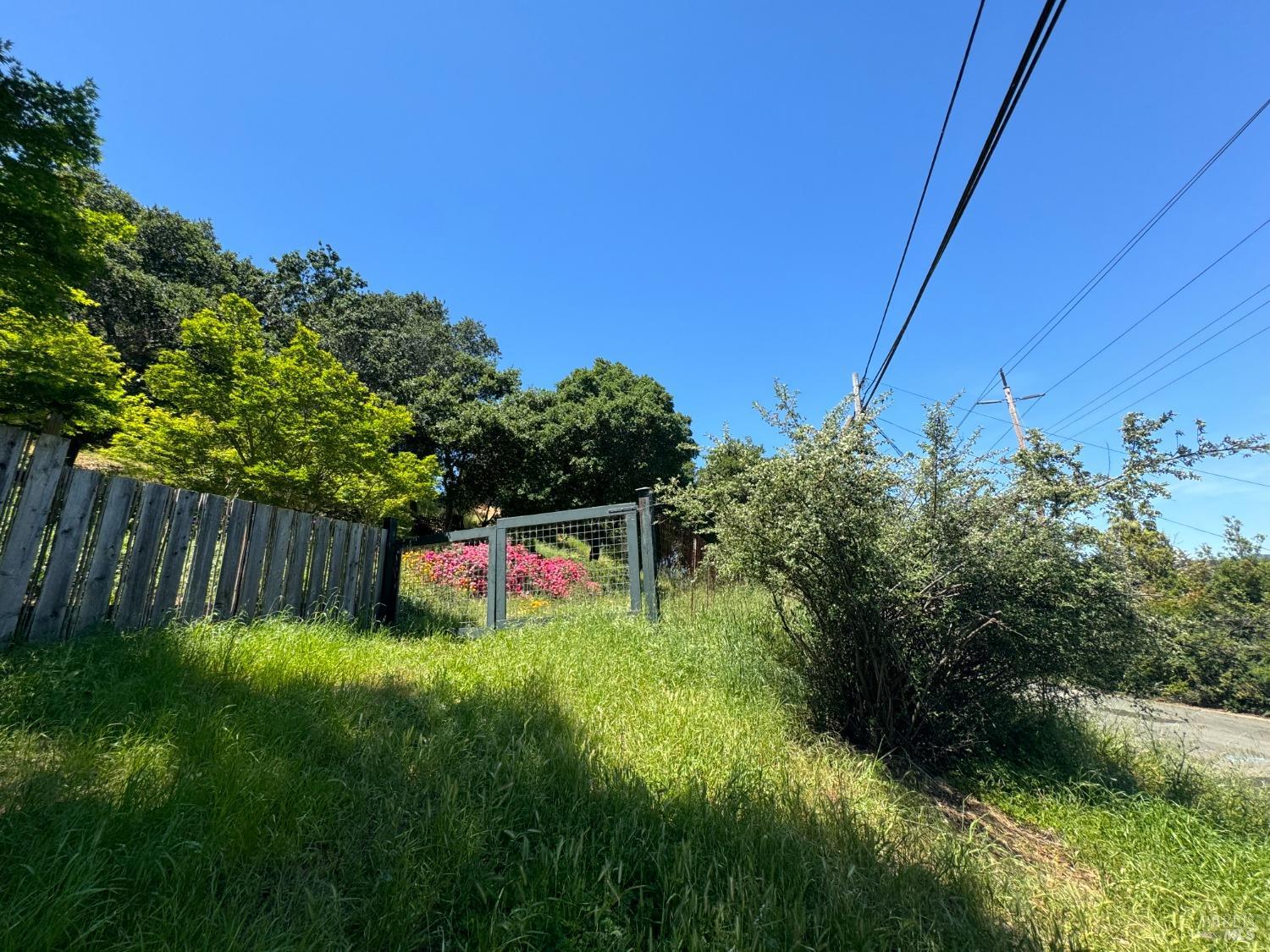 Meadowsweet Drive