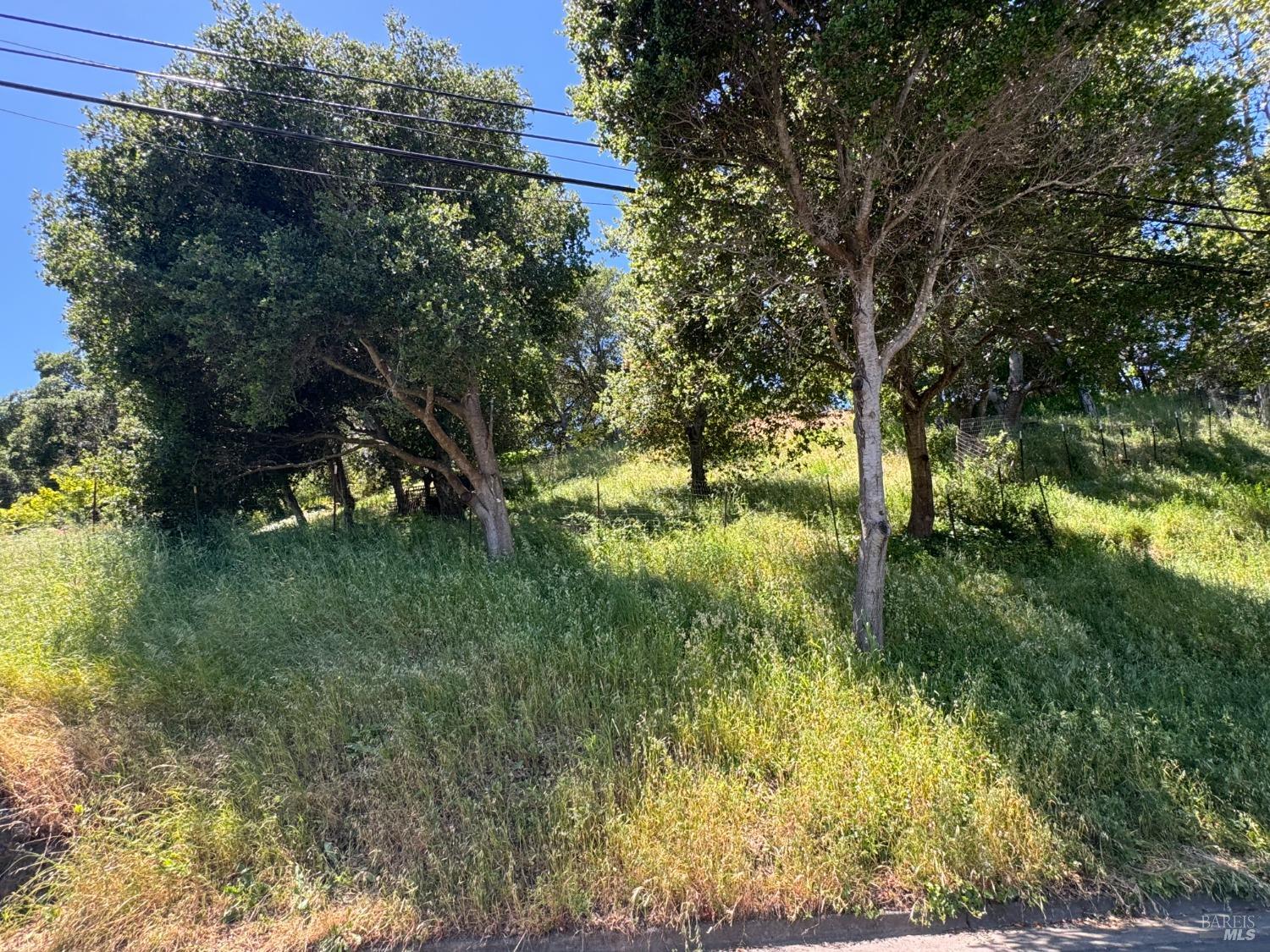 Meadowsweet Drive