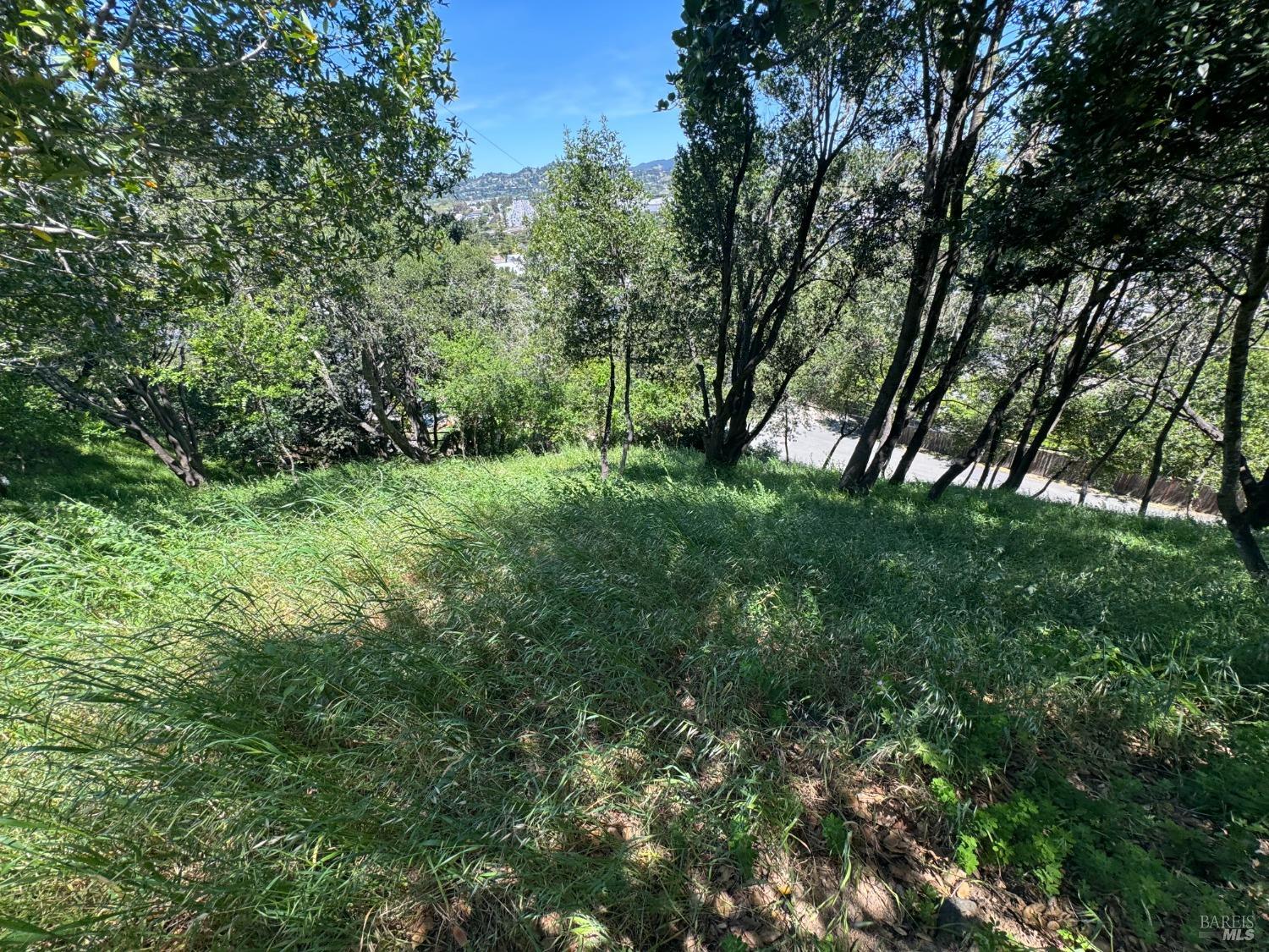 Meadowsweet Drive