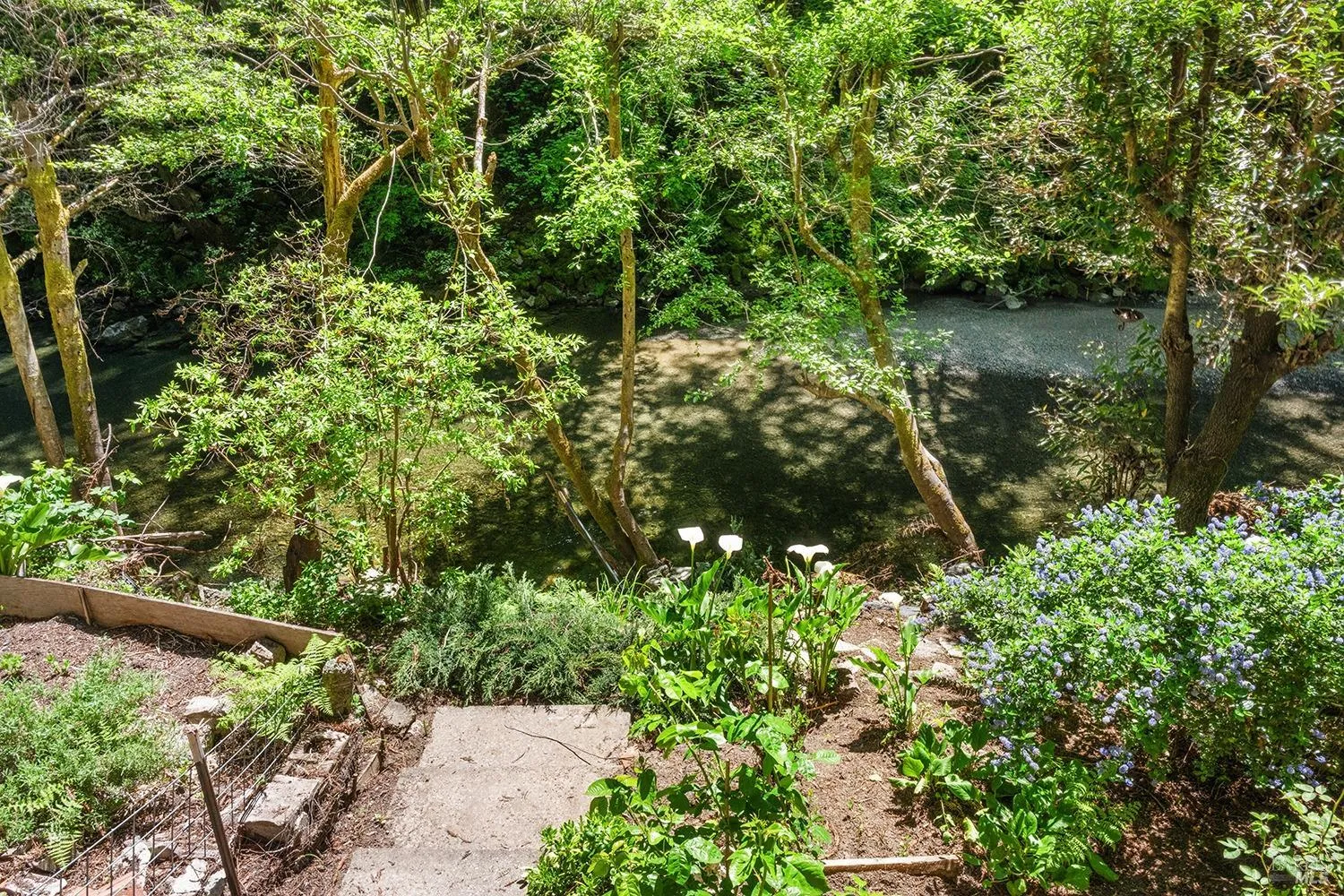 Cazadero, California 95421, United States, 1 Bedroom Bedrooms, ,1 BathroomBathrooms,Residential,Active,124448