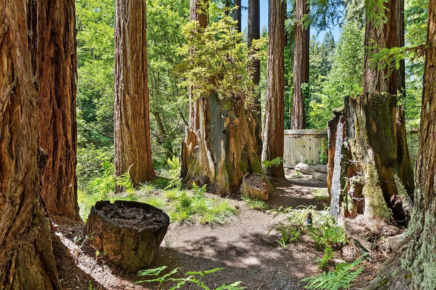 Cazadero, California 95421, United States, 1 Bedroom Bedrooms, ,1 BathroomBathrooms,Residential,Active,124448