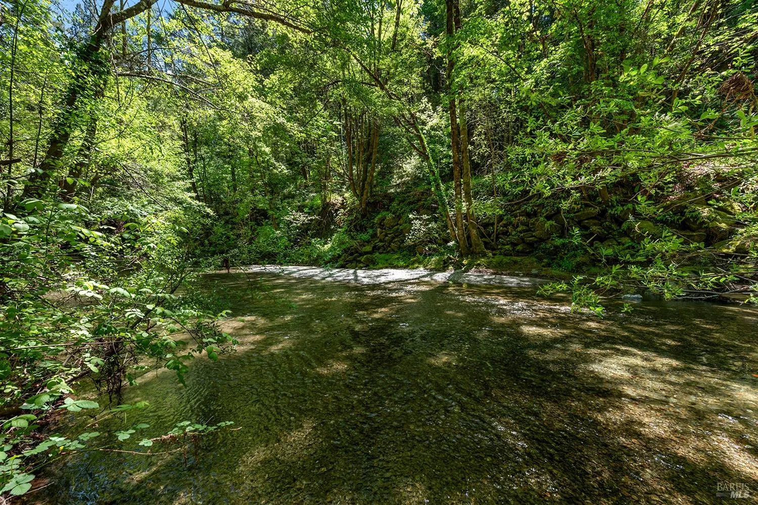 Cazadero, California 95421, United States, 1 Bedroom Bedrooms, ,1 BathroomBathrooms,Residential,Active,124448