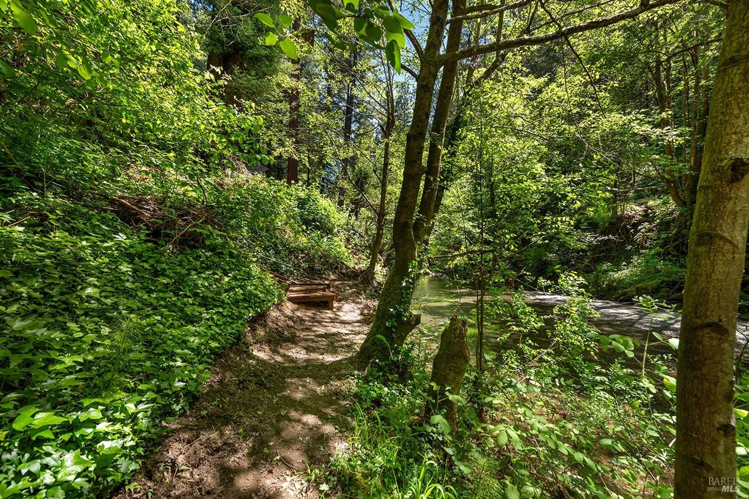 Cazadero, California 95421, United States, 1 Bedroom Bedrooms, ,1 BathroomBathrooms,Residential,Active,124448