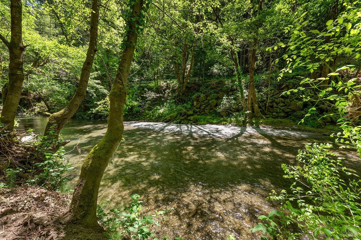 Cazadero, California 95421, United States, 1 Bedroom Bedrooms, ,1 BathroomBathrooms,Residential,Active,124448