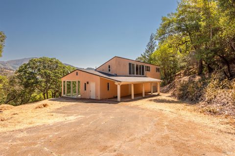 Photo of 510 Wall Road, Napa, CA 94558 (MLS # 325063962)