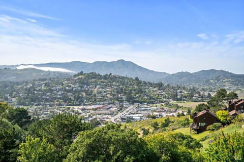 Photo of 402 Donahue Street, Sausalito, CA 94965 (MLS # 325084333)