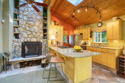 Photo of 17921 Berry Street, Cazadero, CA 95421 (MLS # 325049100)