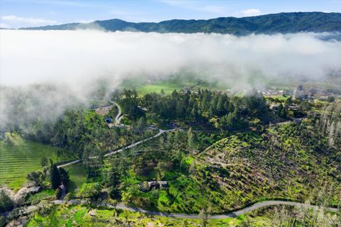Photo of 1830 Howell Mountain Road, Saint Helena, CA 94574 (MLS # 326018924)