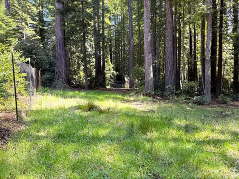 MLS: 325034337