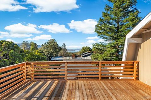 Photo of 1017 Headlands Drive, Napa, CA 94558 (MLS # 325094122)