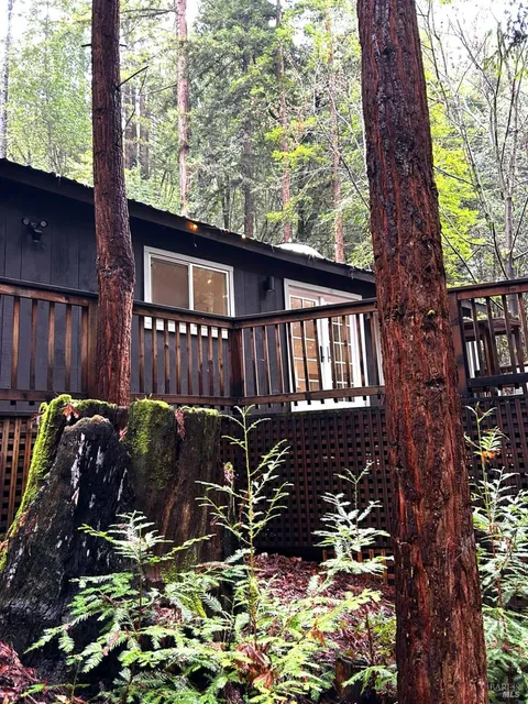 MLS: 325016541