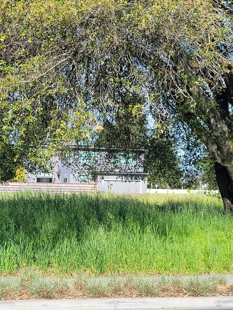 MLS: 324074134