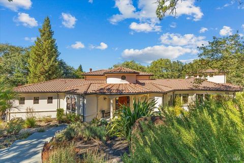 Photo of 913 Turnberry Court, Windsor, CA 95492 (MLS # 325077283)