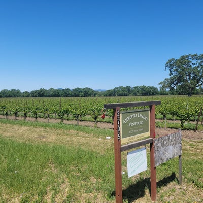 2705 RIVER RD, WINDSOR, CA 95492 - Image 633d2ec4c377f5bac6f3c47b44f2ad5e/1295644803