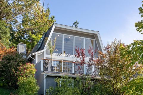 Photo of 347 Jewell Street, San Rafael, CA 94901 (MLS # 325061473)