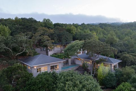 Photo of 3685 White Alder, Sonoma, CA 95476 (MLS # 325033691)